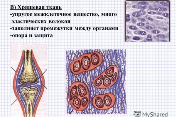 Какой нужен тор чтоб зайти в кракен