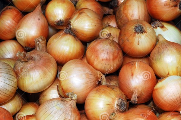 Сайт кракен официальный ссылка onion