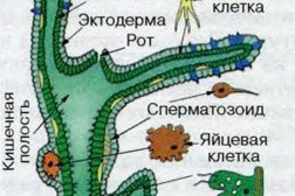 Kraken в россии